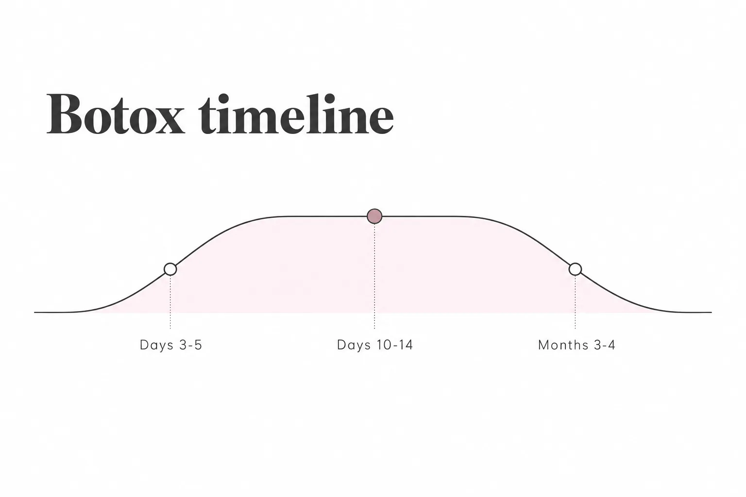 Timeline diagram showing Botox starting to soften movement at days 3 to 5, fully settled by days 10 to 14 and gradually wearing off over months 3 to 4